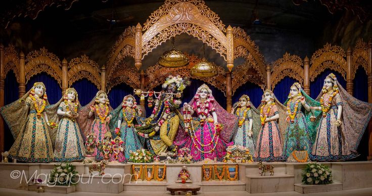Male Krishna-conscious Operations at Amazon Development Centre. profile from New Delhi on Hare Krishna Marriage additional photo